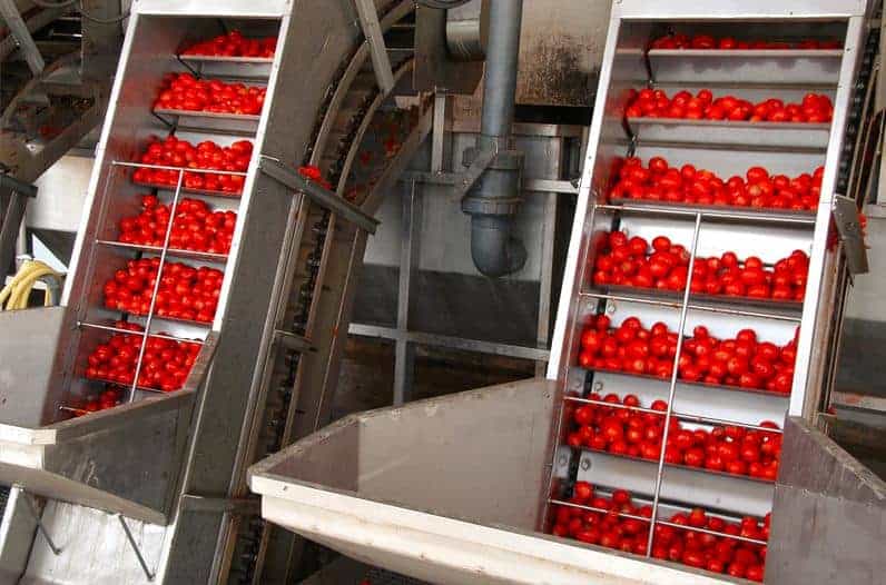 خط إنتاج صلصة الطماطم على نطاق صغير من الألف إلى الياء