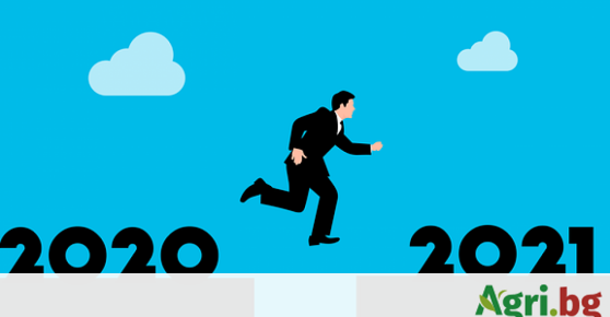 50 най-добри снимки, възможности за бизнес идеи за 2021 г. –
