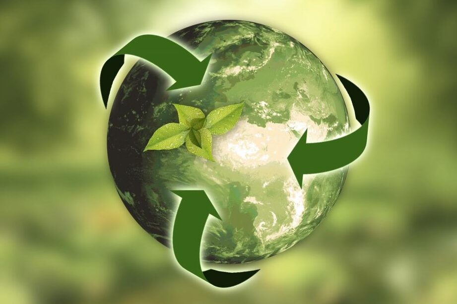 50 най-добри бизнес идеи за рециклиране на отпадъци за 2021 г. –