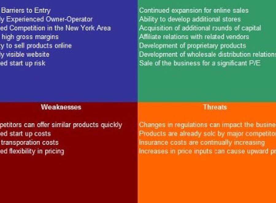 E-commerce obchodní plán SWOT analýza -