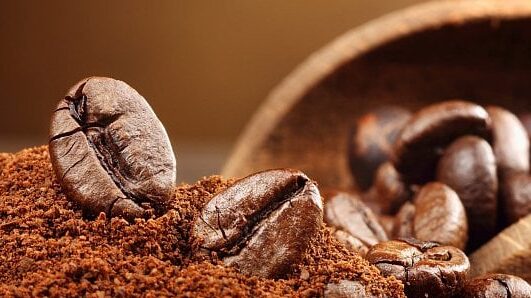 Založení společnosti na pražení kávových zrn – vzor šablony obchodního plánu –