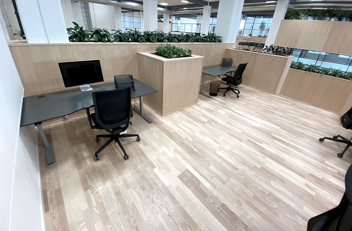 50 bedste indendørs kontorlokaler med lav vedligeholdelse