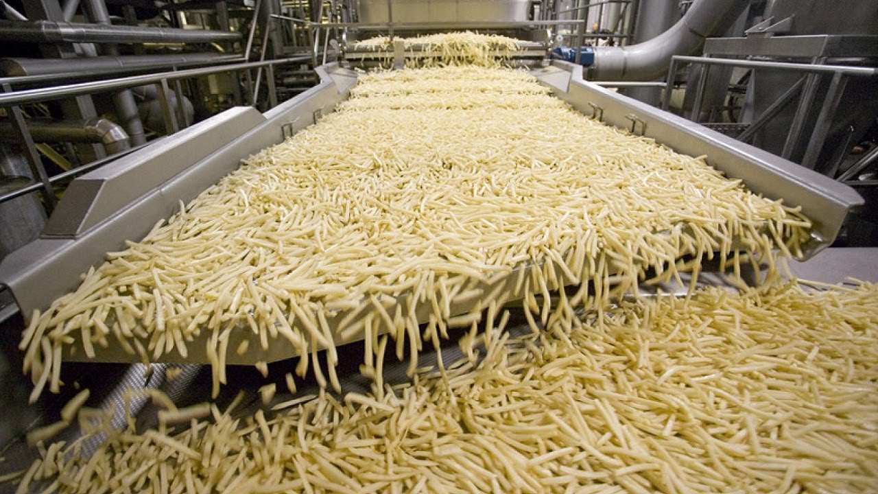 World Amazing Automatic French Fries Production Line Moderne fødevareforarbejdningsteknologi