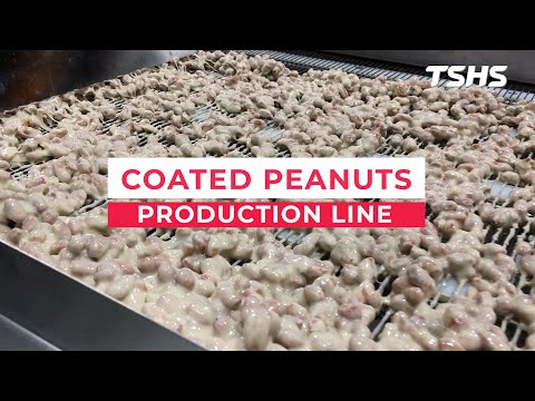Coated Peanut Frying Production Line｜Peanut Frying Solution｜Tsunghsing(TSHS)｜#shorts