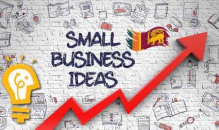 10 best opportunities for small businesses in Sri Lanka 2021