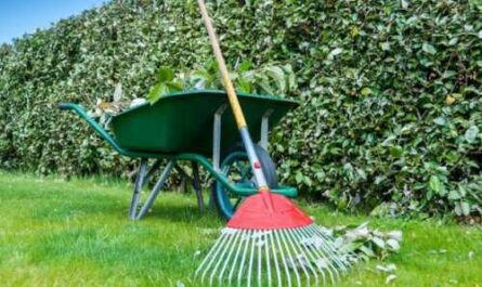 5 things to know before starting a lawn care business