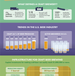 A Brewing Business How much does it cost?
