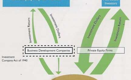 Business development company