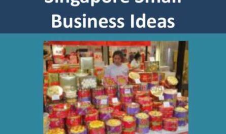 Business ideas in Singapore