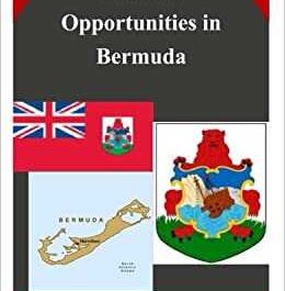 Business Opportunities in Bermuda