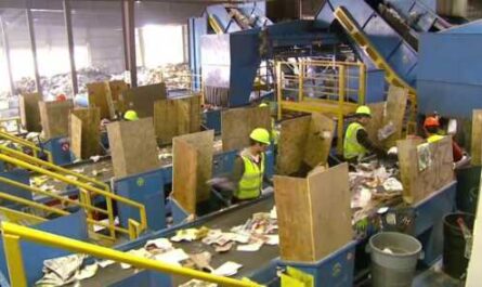 Cardboard Recycling Business