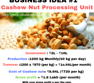 Cashew Processing Company  Business Plan