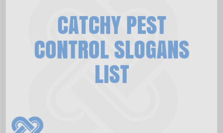 Catching pest control ideas