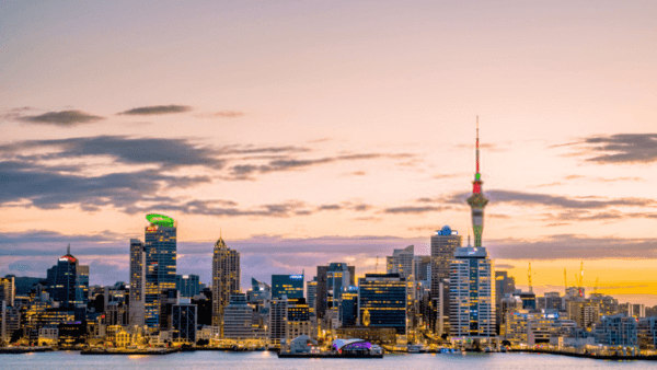 Cities in N.Zealand to start a business