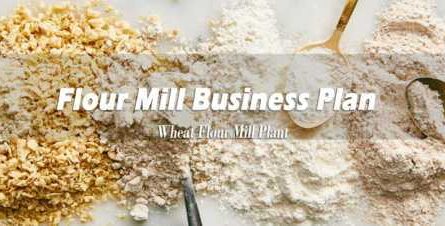 Flour Business . Business Plan