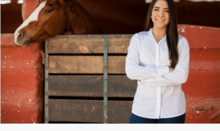 Formation of a horse breeding company - business plan template