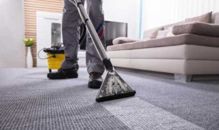 Home Carpet Cleaning Business