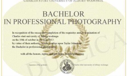 Obtain a bachelor's degree in photography