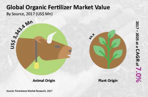Organic fertilizer company Business plan