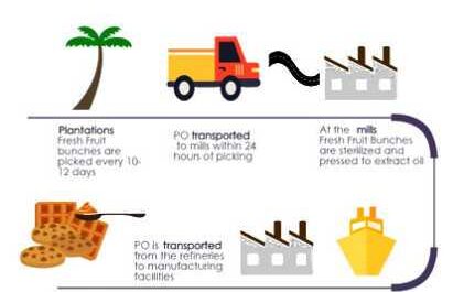 Palm Oil Business Business Plan