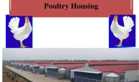 Poultry system selection