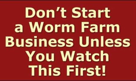 Sample Startup Worm Farm Business Plan Template