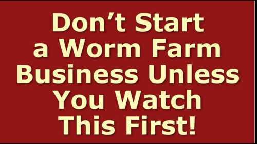 sample-startup-worm-farm-business-plan-template-qoodis