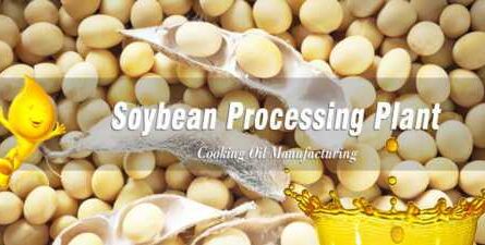 Soybean Processing Business