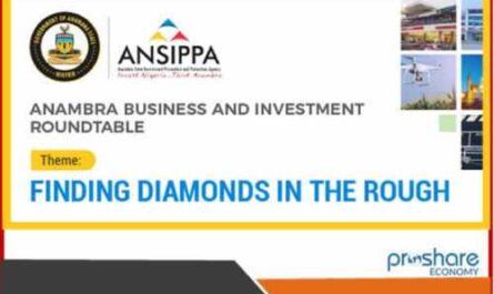Starting an Anambra Business Top 10 Opportunities