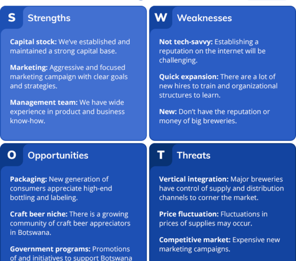 SWOT analysis of a hedge fund business plan