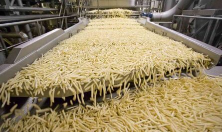 Amazing Worldwide Automatic French Fries Production Line Modern Food Processing Technology