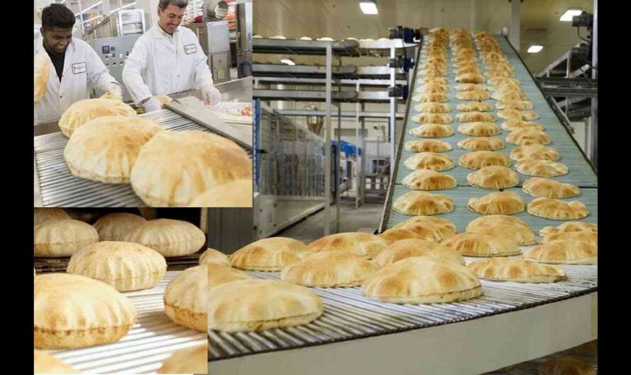 Awesome Automated Bakery Production Line in Food Factory – Delicious Donuts and Cake Making Machines