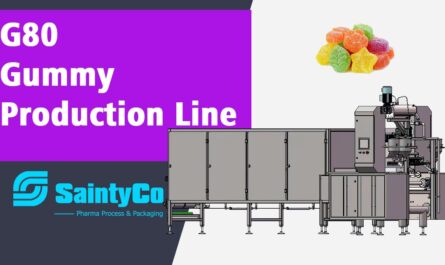 [Gummy Machine] G80 Chewing Gum Production Line -SaintyCo