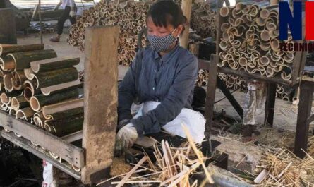 Inside Bamboo Factories - Amazing Bamboo Product Manufacturing Process