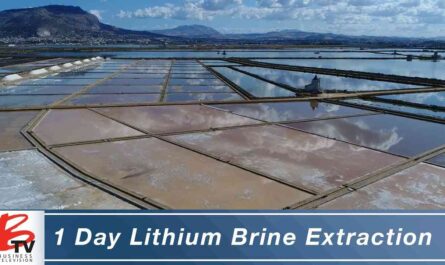 Small Cap Opportunity: MGX Minerals |  Petrolithium: 1-Day Pure Lithium Brine Extraction