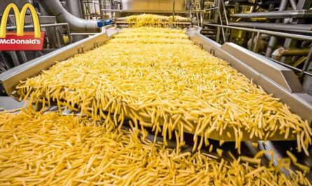 This is how McDonald's fries are made.  Food production processes