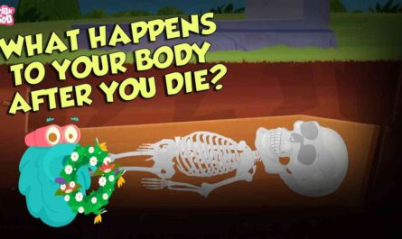 What happens to your body after death?  |  Human Biology |  The Dr. Beanox Show |  Peekaboo Kids