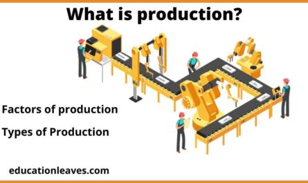 What is production?  Types of production, factors of production
