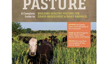 Best Forage Crops for Dairy Cattle: A Guide to Dairy Feeding