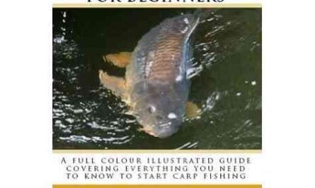 Carp farming: the complete business guide for beginners