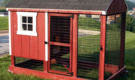Chicken coops: how to build a chicken coop for broilers