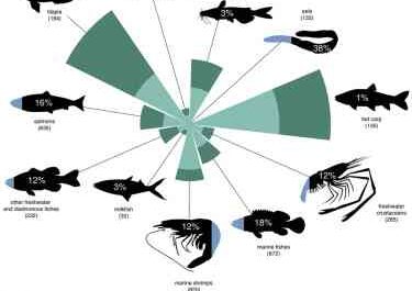 Dairy fish: characteristics, feeding, use and breeding