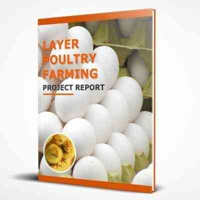 Farming in Turkey in India: A Guide to Starting a Profitable Business