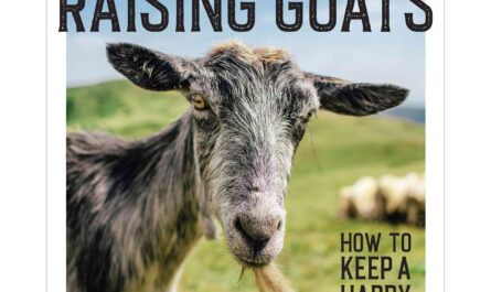 Feeding Goat Meat: The Complete Beginner's Guide to Feeding Goats