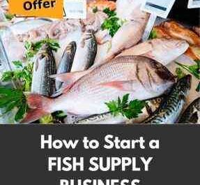 How to Start a Fish Business