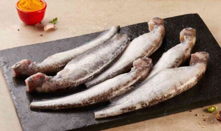 Pabda fish: characteristics, feeding, breeding and complete information
