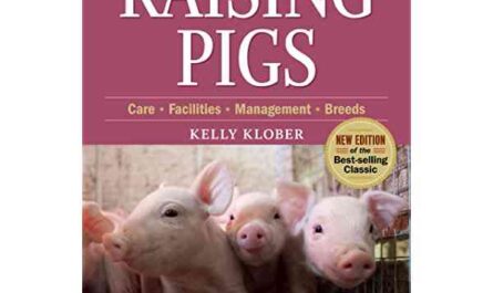 Pig Farming: A Beginner's Guide to Business Operations