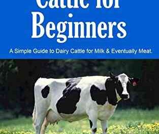 Raising Dairy Cattle: How to Raise Dairy Cows (Beginner's Guide)