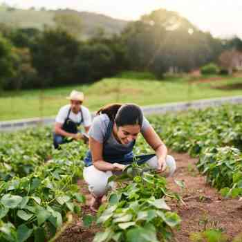The 15 Best Farming Small Business Ideas in 2021