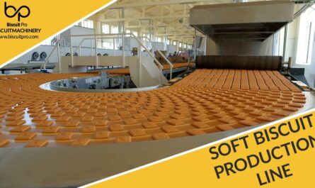 Biscuit Pro - Soft Biscuit Production Line